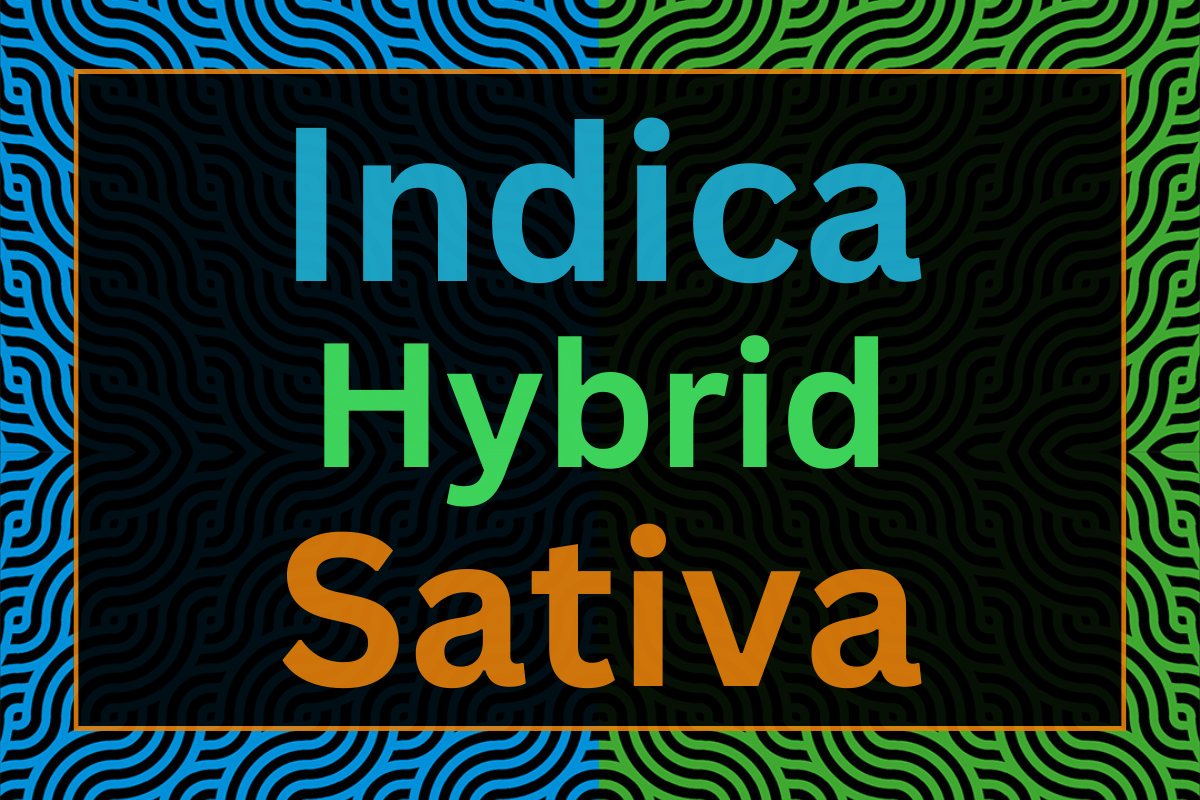 What is Indica, Hybrid, and Sativa Cannabis?